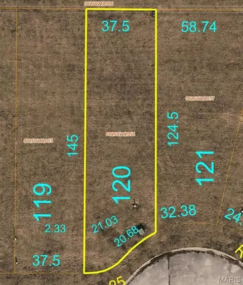 2069 Camrose Green St, Belleville, IL 62220