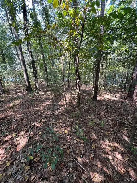 0 Highway E, Lowndes, MO 63951 photo 4