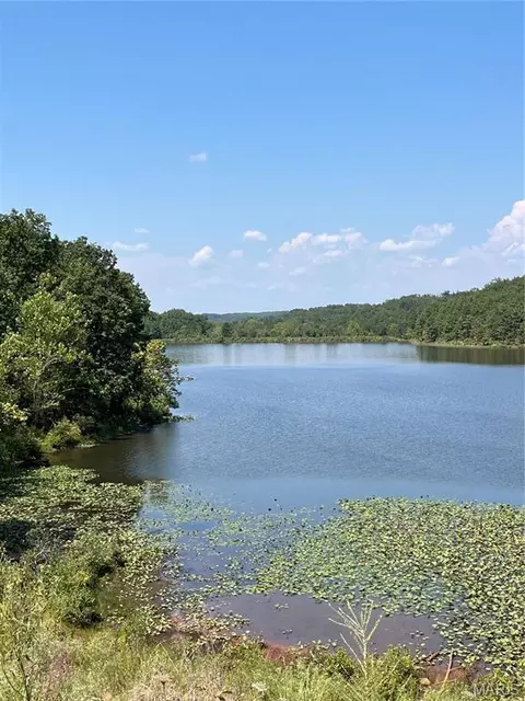 0 Highway E, Lowndes, MO 63951 photo 8