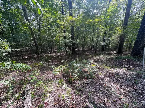 0 Lot 39 Tomaro Trl, Poplar Bluff, MO 63901 photo 1