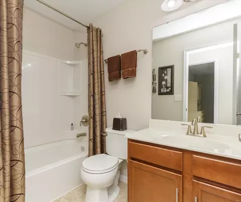 Bath - 224 Belmonte Cir, O'fallon, MO 63368 photo 3 of 3