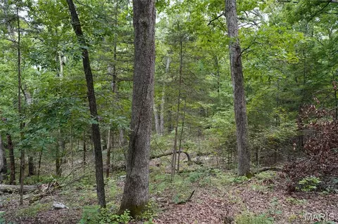 Exterior - 28 Acres Hwy 100, Hermann, MO 65041 photo 3 of 7