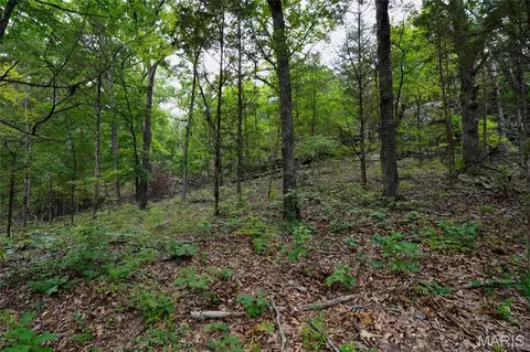 Exterior - 28 Acres Hwy 100, Hermann, MO 65041 photo 1 of 7