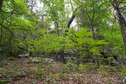Exterior - 28 Acres Hwy 100, Hermann, MO 65041 photo 2 of 7