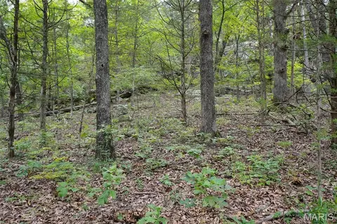 Other - 28 Acres Hwy 100, Hermann, MO 65041 photo 5 of 11