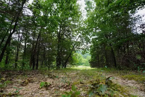 Exterior - 28 Acres Hwy 100, Hermann, MO 65041 photo 4 of 7