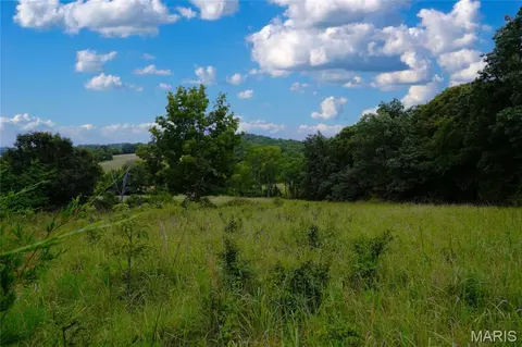 Other - 28 Acres Hwy 100, Hermann, MO 65041 photo 4 of 11