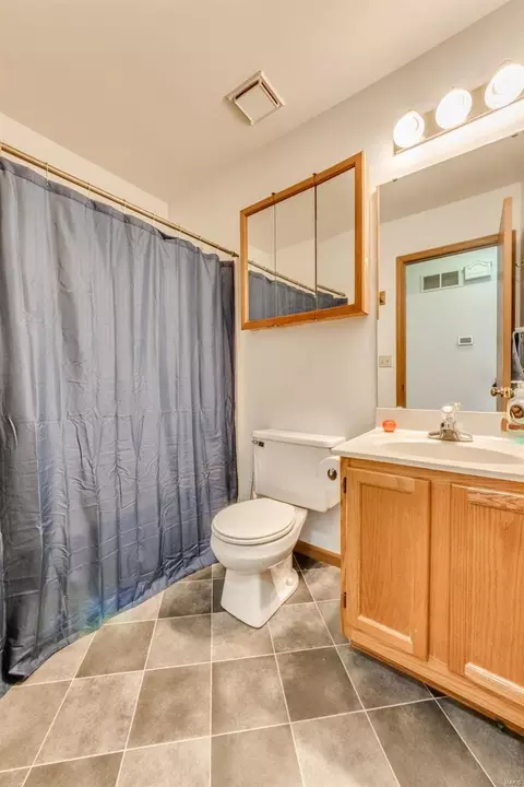 Bath - 46 Mallard Pointe Dr, O'fallon, MO 63368 photo 2 of 2