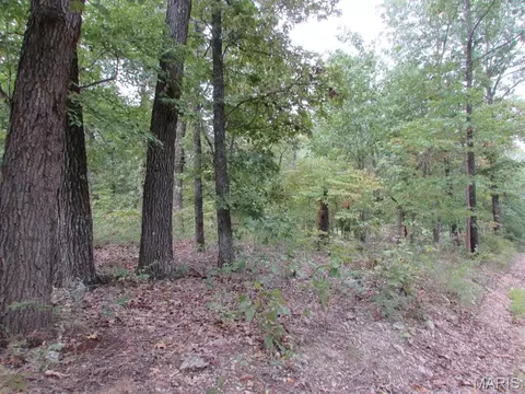 0 County Road 553a, Gainesville, MO 65655 photo 8