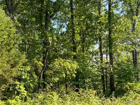 0 County Road 553a, Gainesville, MO 65655 photo 14