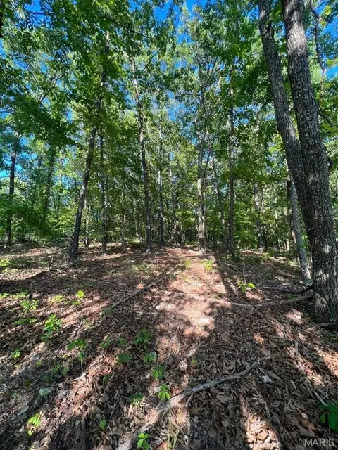 0 County Road 553a, Gainesville, MO 65655 photo 15
