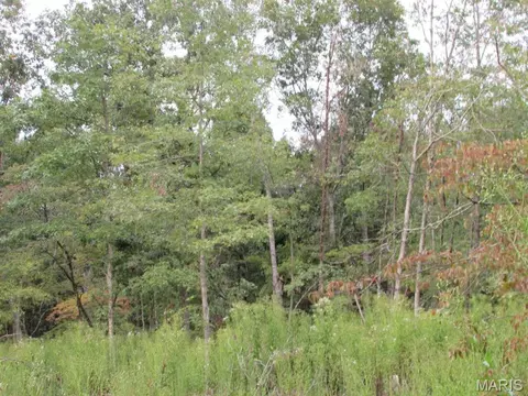 0 County Road 553a, Gainesville, MO 65655 photo 5