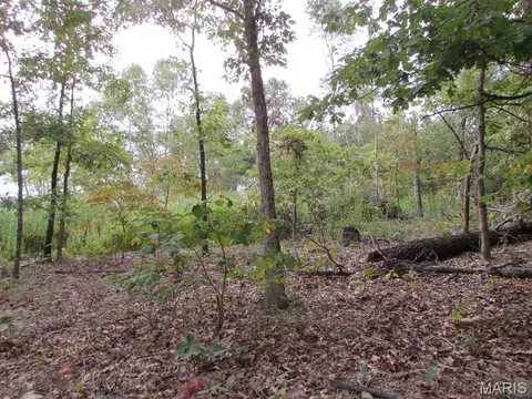 0 County Road 553a, Gainesville, MO 65655 photo 6