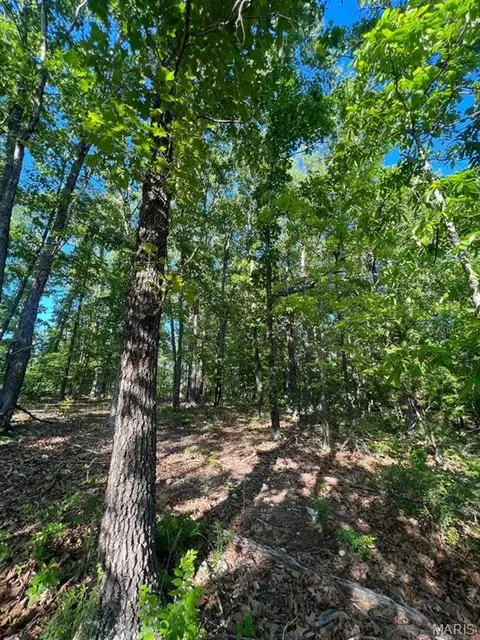 0 County Road 553a, Gainesville, MO 65655 photo 16
