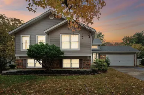 16504 Forest Pine Dr, Wildwood, MO 63011 photo 22