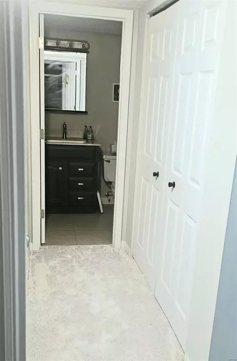 Entry Way - 9616 Bent Pine Dr #D, Sappington, MO 63126 photo 3 of 4