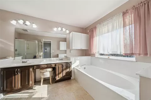 Bath - 487 Winter Park Dr, O'fallon, MO 63366 photo 1 of 4