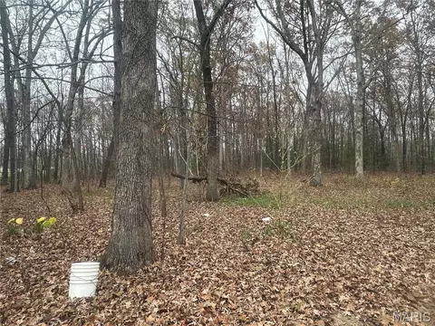 Other - 18602 N N Hwy, Middlebrook, MO 63656 photo 7 of 8