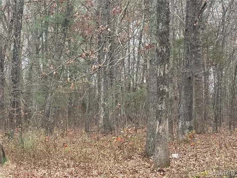 Other - 18602 N N Hwy, Middlebrook, MO 63656 photo 5 of 8