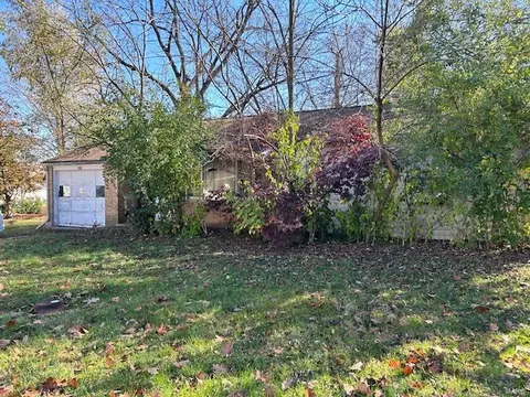 320 E College St, Troy, MO 63379 photo 1