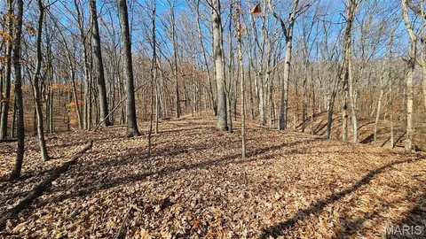 Other - 205 Hemsath, Augusta, MO 63332 photo 9 of 32