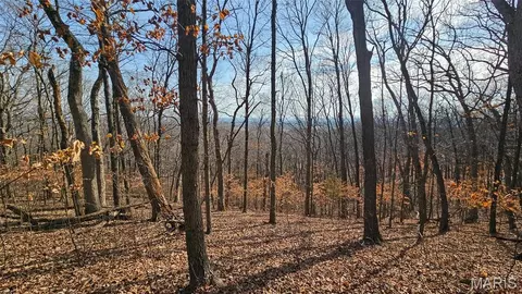 View/Area - 205 Hemsath, Augusta, MO 63332 photo 1 of 6