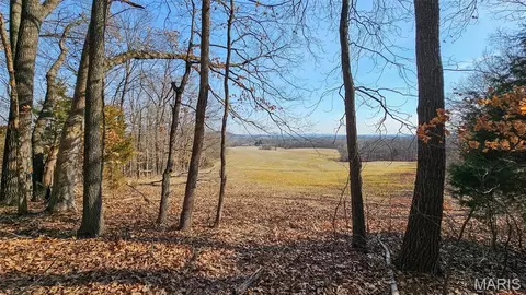 Other - 205 Hemsath, Augusta, MO 63332 photo 10 of 32