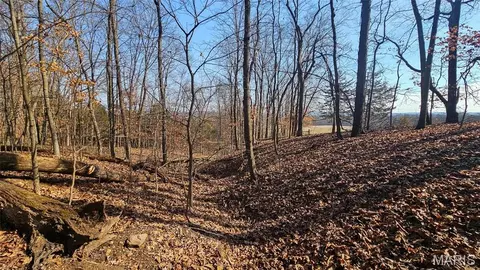 Other - 205 Hemsath, Augusta, MO 63332 photo 11 of 32