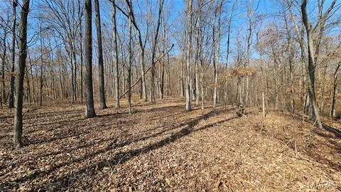 Other - 205 Hemsath, Augusta, MO 63332 photo 8 of 32