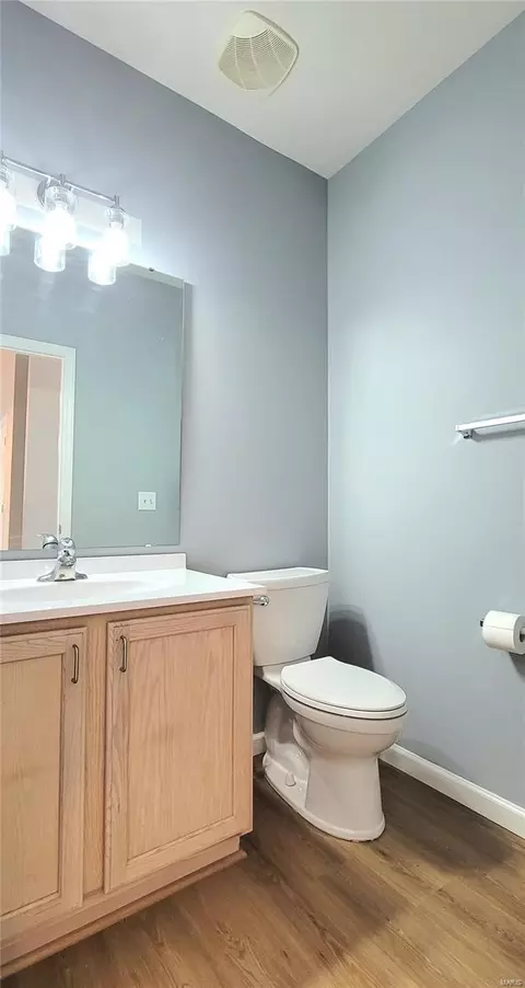 Bath - 377 Remington Way Dr, Ballwin, MO 63021 photo 1 of 5