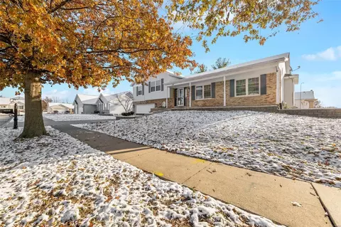1508 Tea Party Ln, O'fallon, MO 63366 photo 4