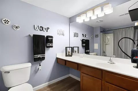 Bath - 15101 Spring Creek Ln, O'fallon, MO 63368 photo 2 of 2