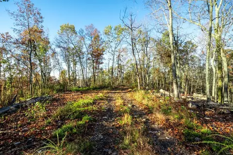 0 County Road 336, Annapolis, MO 63620 photo 43