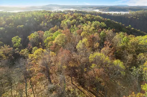 0 County Road 336, Annapolis, MO 63620 photo 7