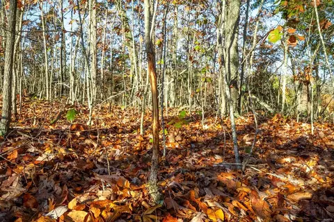 0 County Road 336, Annapolis, MO 63620 photo 48
