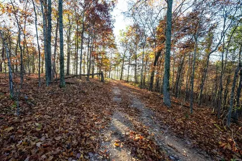 0 County Road 336, Annapolis, MO 63620 photo 36