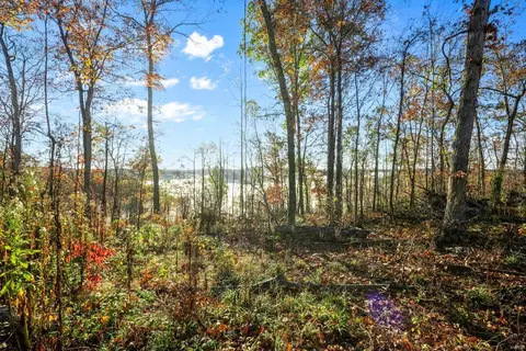 0 County Road 336, Annapolis, MO 63620 photo 39