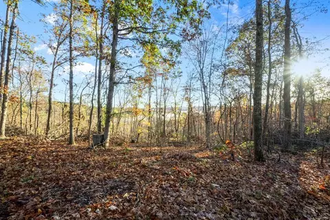 0 County Road 336, Annapolis, MO 63620 photo 35
