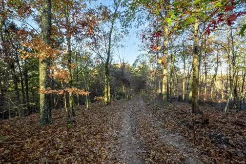 0 County Road 336, Annapolis, MO 63620 photo 32