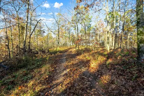 0 County Road 336, Annapolis, MO 63620 photo 34