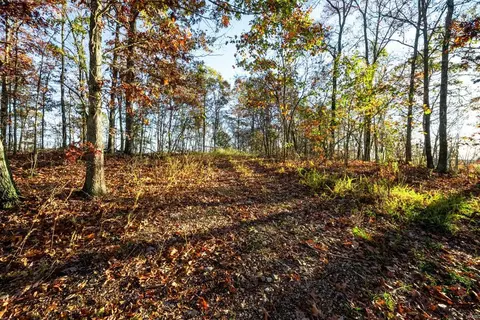 0 County Road 336, Annapolis, MO 63620 photo 37