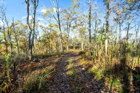 0 County Road 336, Annapolis, MO 63620 photo 44