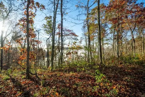 0 County Road 336, Annapolis, MO 63620 photo 42