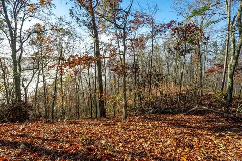0 County Road 336, Annapolis, MO 63620 photo 47