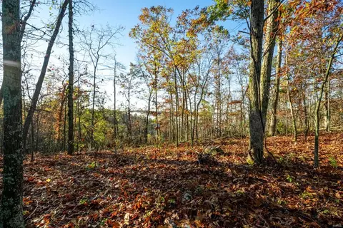0 County Road 336, Annapolis, MO 63620 photo 41