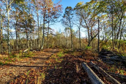 0 County Road 336, Annapolis, MO 63620 photo 40