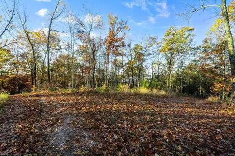 0 County Road 336, Annapolis, MO 63620 photo 31