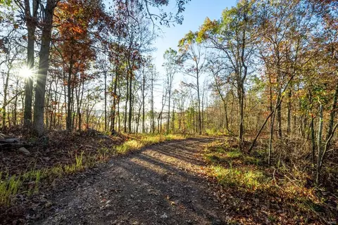 0 County Road 336, Annapolis, MO 63620 photo 38