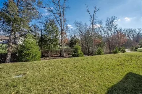 Exterior - 304 Narrowleaf Ln, O'fallon, MO 63366 photo 10 of 13