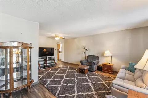 Living - 504 Alsmeyer Dr, O'fallon, MO 63366 photo 1 of 1